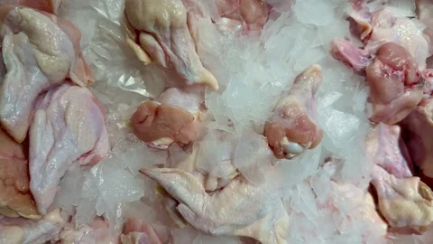 Frozen fresh chicken covered with ice Stock Footage 340408056