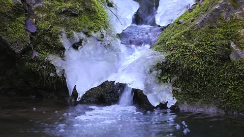 Frozen fresh water spring Stock Footage 71306200