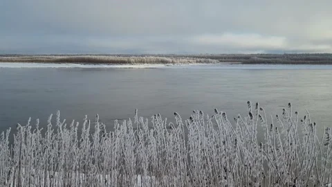 Frozen grass and river in winter landscape Video stock 220169722