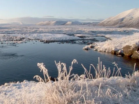 Frozen Grass Stock Footage 490340