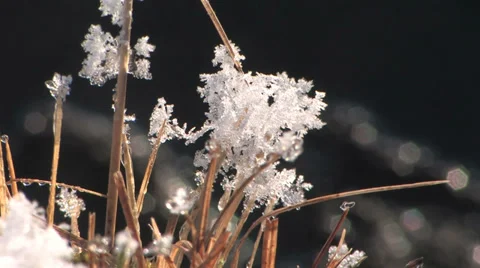 Frozen grass Stock Footage 35935046