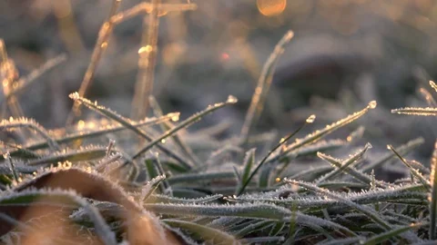 Frozen grass Video stock 102330827