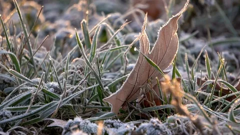 Frozen grass Video stock 102331945