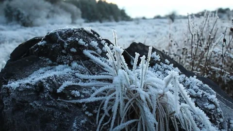 Frozen grass Stock Footage 225690804