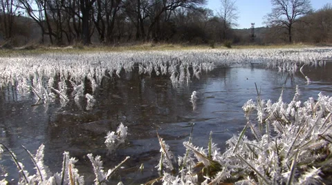 Frozen grass with frozen lake Stock-Footage 32964010