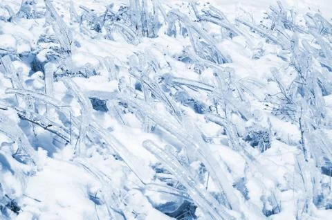 Frozen grass Stock Photos