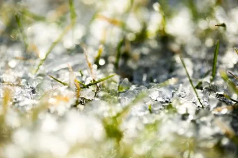 Frozen grass Stock Photos