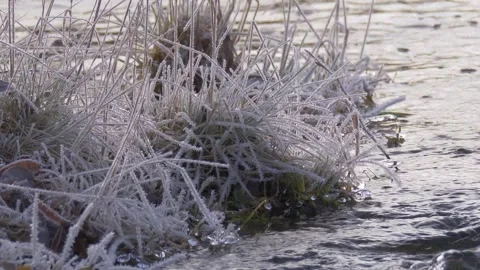 Frozen grass in the river Siberia Stock Footage 280942960