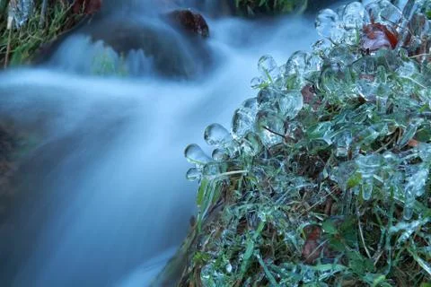Frozen grass by river in winter Foto stock
