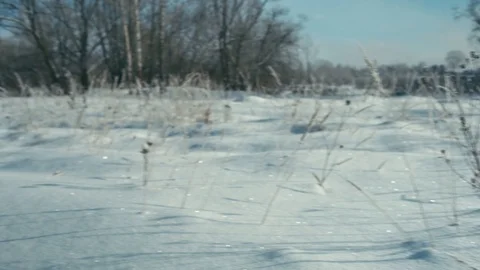 Frozen grass on wind Stock Footage 102148387