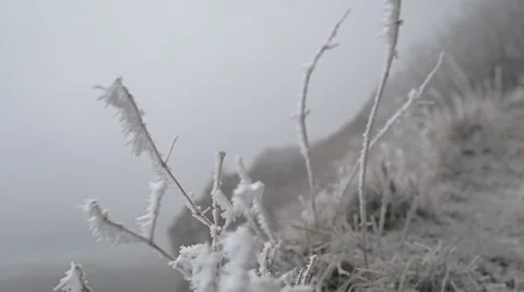 Frozen grass on windy snow day Stock Footage
