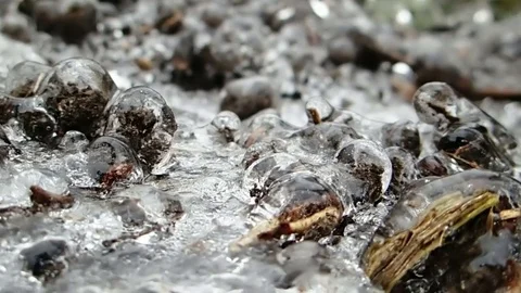 Frozen ground Stock-Footage 83775810