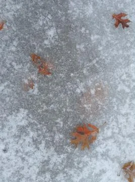Frozen ground 写真素材