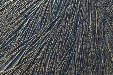Frozen ground Stock Photos