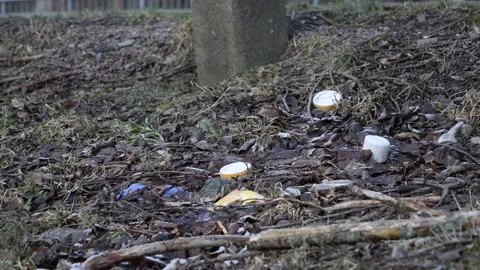 Frozen Ground with Plastic Trash Littering, Garbage causing Pollution at Winter Vídeos de archivo 171530559