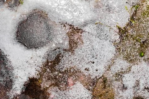 Frozen ground texture background. Stock Photos