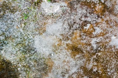 Frozen ground texture background. Stock Photos