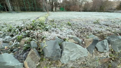 Frozen Groundcover Plants Border Stone Wall in Vorontsov Park Salgirka Stock Footage 331058524