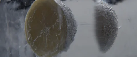 A frozen half of lemon rotates in an ice cube on white background. Stock Footage 106006875