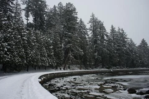 Frozen harbour Foto stock