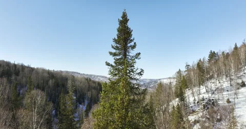 Frozen hill covered with snow rises under bright sky Stock Footage 318738989