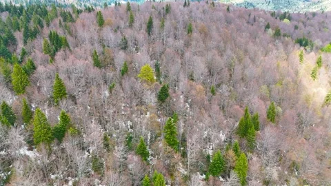 Frozen Horizons 库存影片 306031566