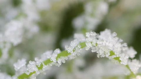 Frozen Ice and Snowflake Video stock 101025950
