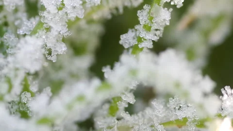 Frozen Ice and Snowflake Video stock 101025994