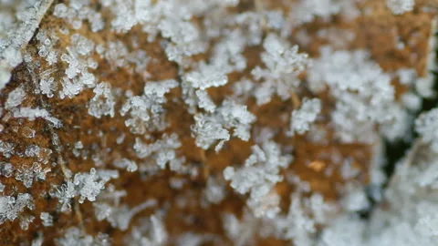 Frozen Ice and Snowflake Video stock 101026070