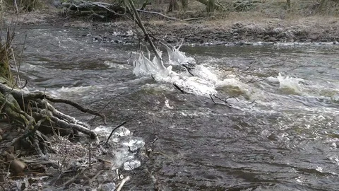 Frozen Ice on Branches and Fast Flowing River Stock Footage 101652505