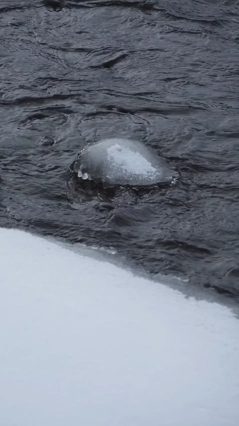 Frozen Ice Dome on Rock in Rushing Winter River Stream - Close-up of Ice Formati Stock Footage 326216409