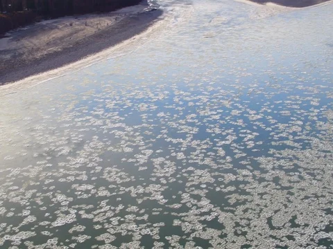 Frozen ice floating on the river surface and coniferous forest along the coast 스톡 동영상 79656630
