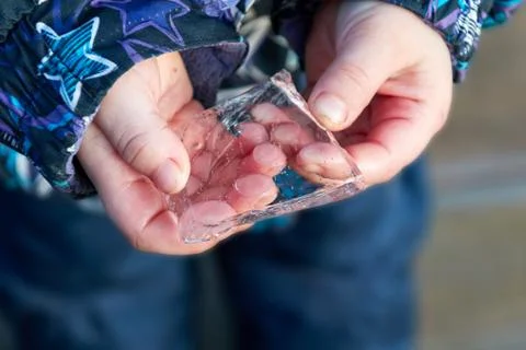 Frozen ice in the hands of a child Stock Photos