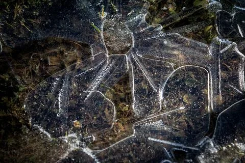 Frozen Ice Pattern on Shallow Water Surface With Natural Winter Texture Foto stock