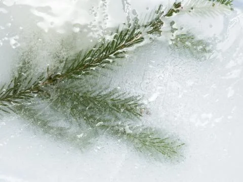 Frozen in the ice Foto stock