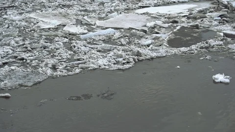 Frozen ice river is melting in spring with ice flakes flowing. Cracked ice Video stock 88730364