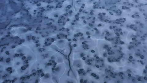 Frozen ice texture from above 2 Stock Footage 146769982