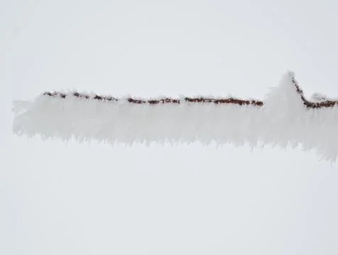 Frozen in the ice tree branches Stock Photos