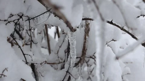 Frozen icicles begin to melt and drip. The arrival of spring. Video stock 332211932