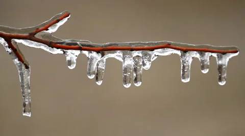Frozen Icicles on the tree in winter Stock Footage 45569394