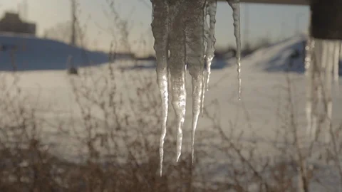 Frozen Icicles in Winter Setting Stock Footage 114020542
