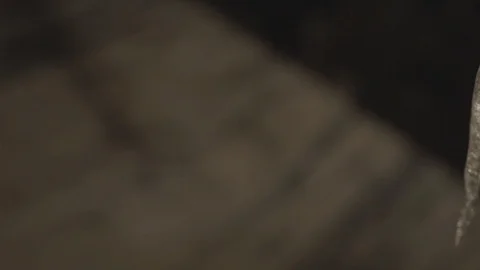 Frozen Icicles in Winter Setting Stock Footage 114020799