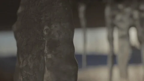 Frozen Icicles in Winter Setting Stock Footage 114020977