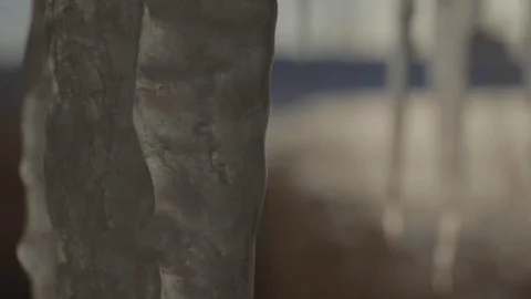 Frozen Icicles in Winter Setting Stock Footage 114021023