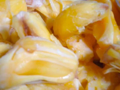 Frozen jackfruit texture Foto stock