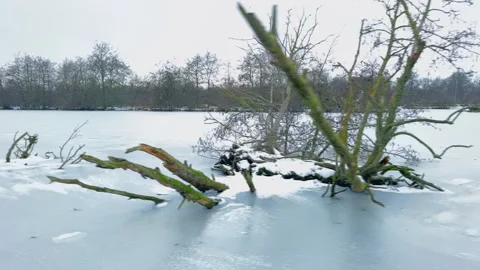 Frozen Lake and Bare Trees in Winter Stock Footage 342797950