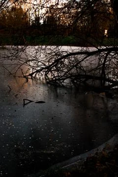 Frozen Lake with Bare Tree Branches and Warm Sunset Reflection Stock Photos