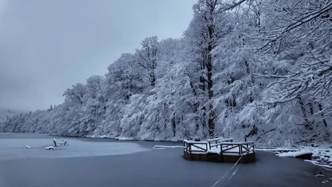 Frozen lake with bridge in winter. Stock Footage 312886019