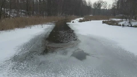 Frozen Lake Ducks Stock Footage 147462683
