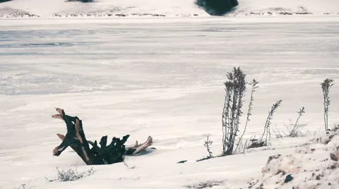 Frozen Lake during Winter Time. Stock-Footage 59527937